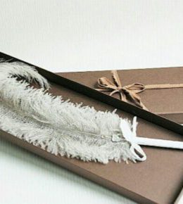 n1 صفحه اصلی