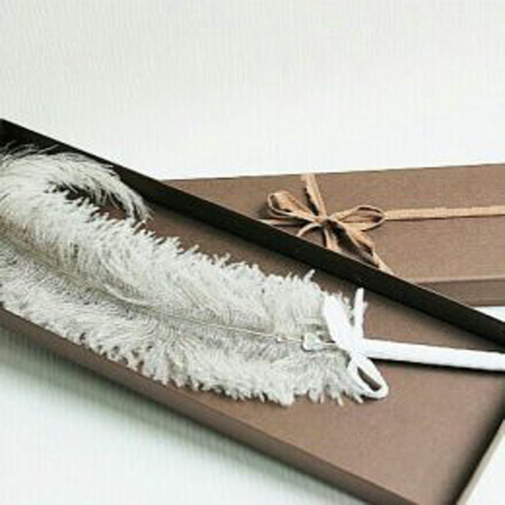 n1 n1 پر طبیعی شترمرغ – نمادی از ظرافت، اصالت و شکوه