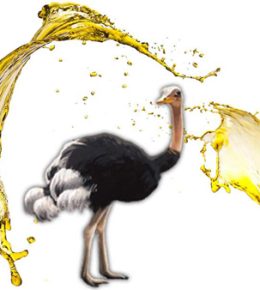 ostrich2 oil2 properties2 صفحه اصلی