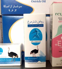 photo 2025 04 23 12 01 31 صفحه اصلی