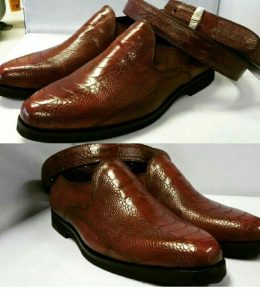 photo 2025 04 23 12 06 11 صفحه اصلی